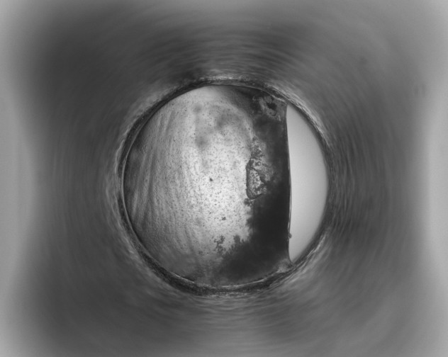 X0000095950721200801251129