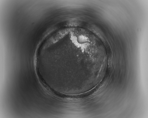 X0000095950722200801251129