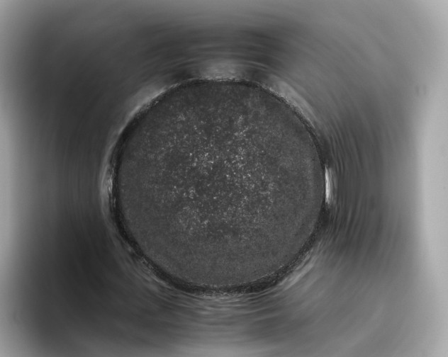 X0000095950723200801251129