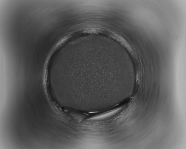 X0000095950724200801251129