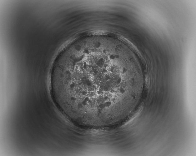 X0000095950725200801251129