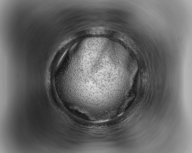 X0000095950727200801251129