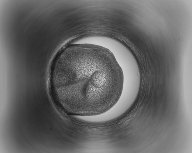 X0000095950728200801251129