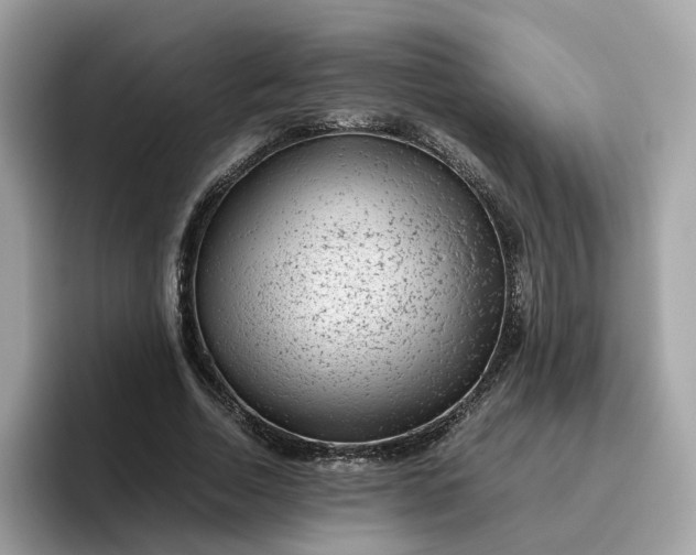 X0000095950730200801251129