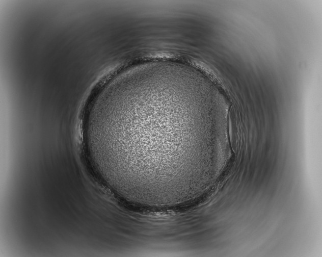 X0000095950731200801251129