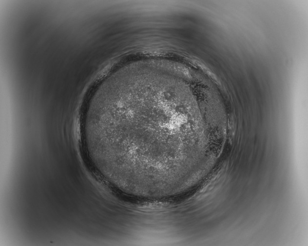 X0000095950734200801251129