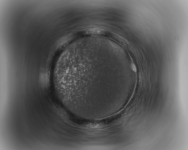 X0000095950735200801251129