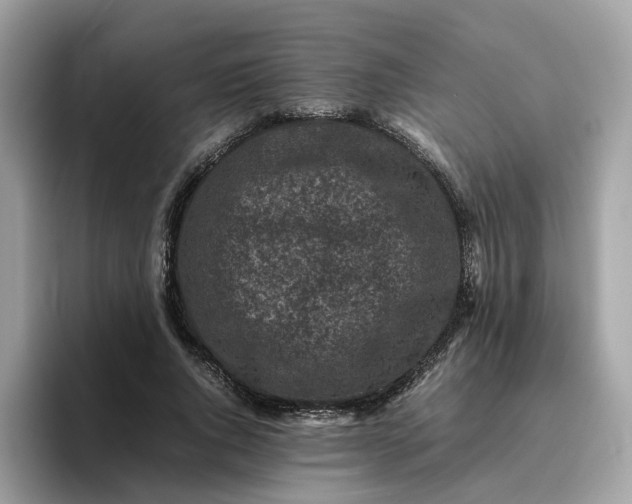 X0000095950736200801251129