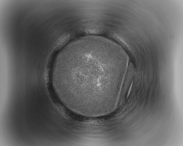 X0000095950738200801251129