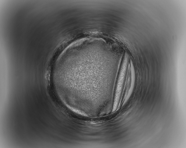 X0000095950739200801251129