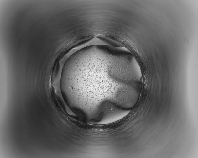 X0000095950740200801251129