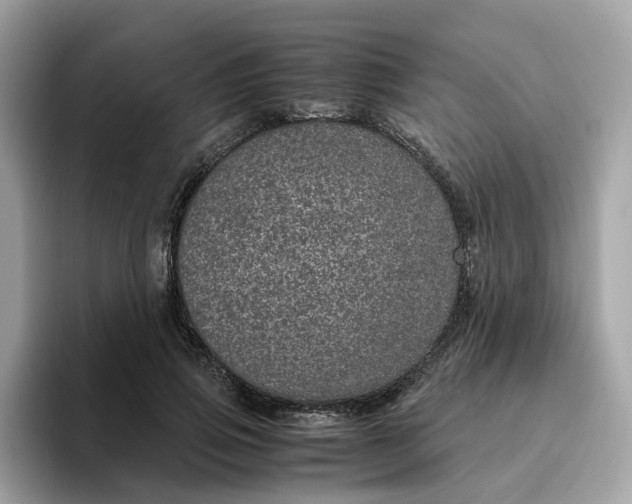 X0000095950741200801251129