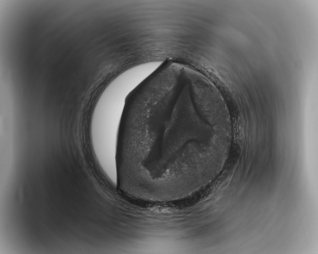 X0000095950742200801251129