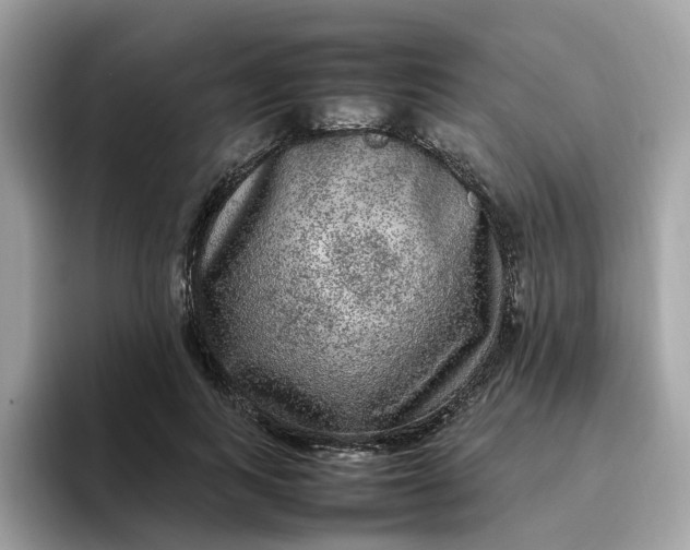 X0000095950743200801251129