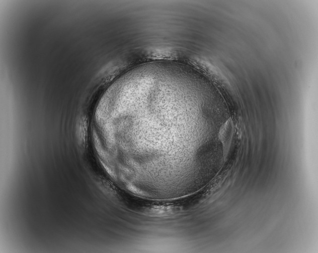 X0000095950744200801251129