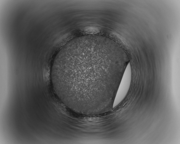 X0000095950745200801251129