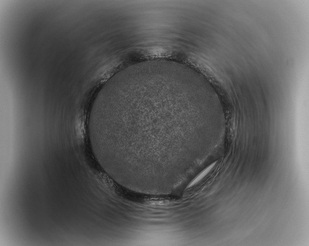 X0000095950746200801251130