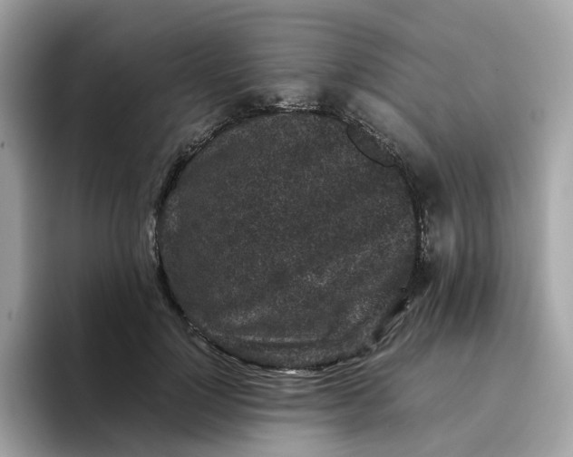 X0000095950748200801251130