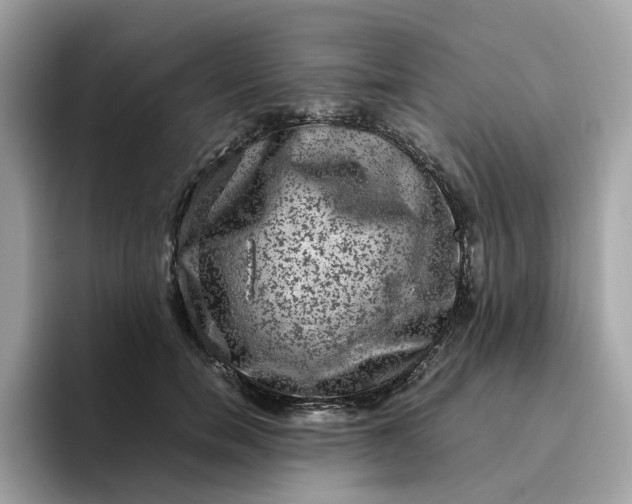 X0000095950750200801251130