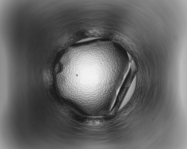 X0000095950751200801251130