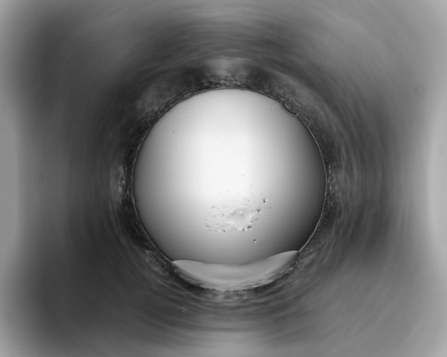 X0000095950752200801251130