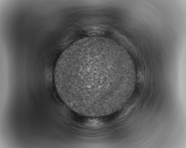 X0000095950753200801251130