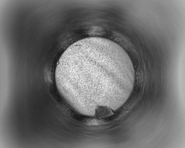 X0000095950755200801251130