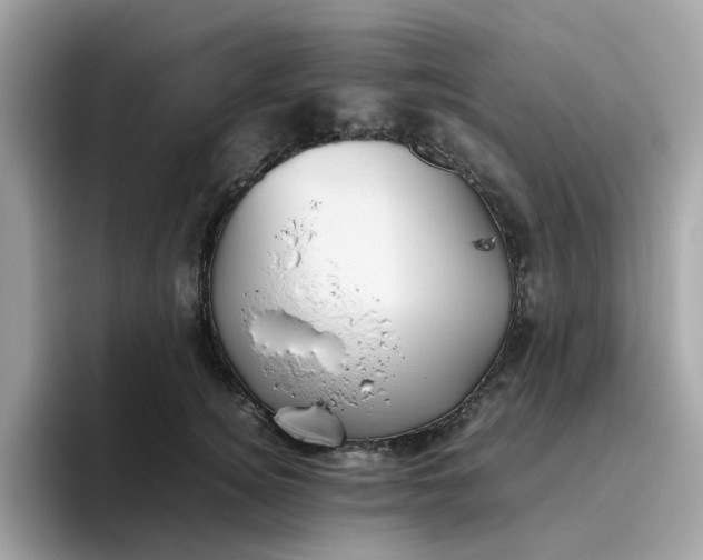 X0000095950756200801251130