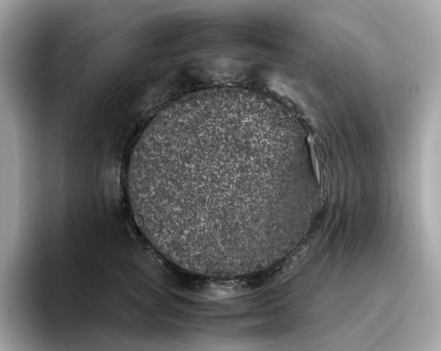 X0000095950757200801251130