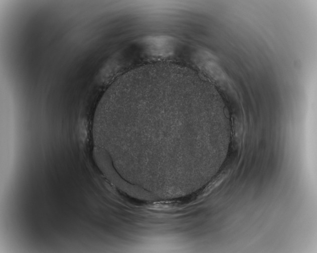 X0000095950758200801251130