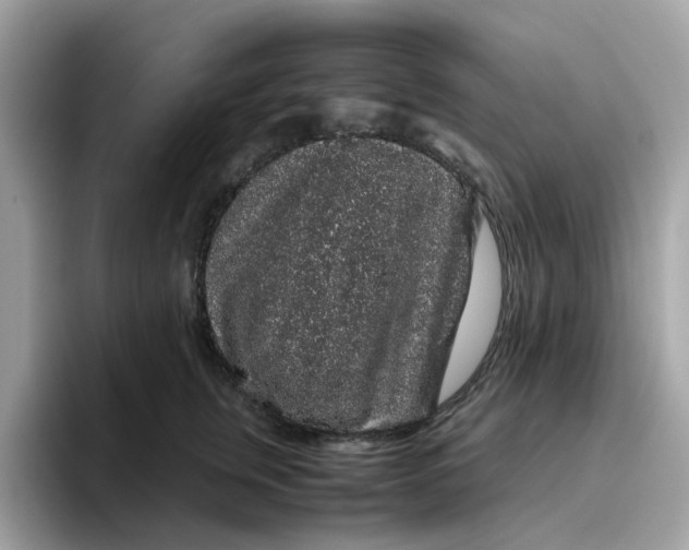 X0000095950759200801251130