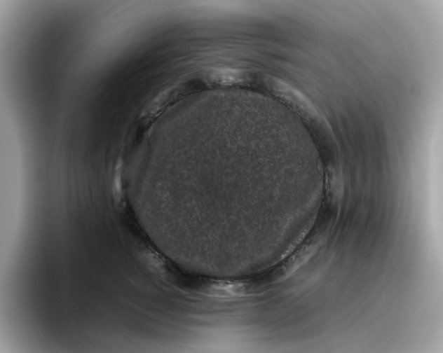 X0000095950760200801251130