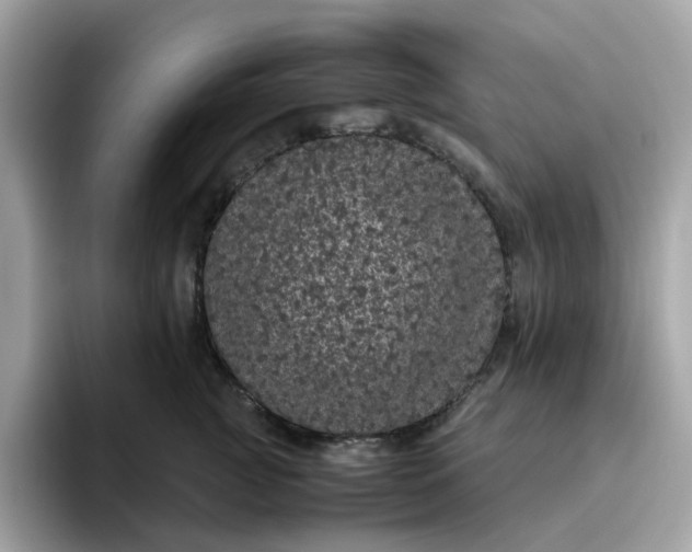 X0000095950761200801251130