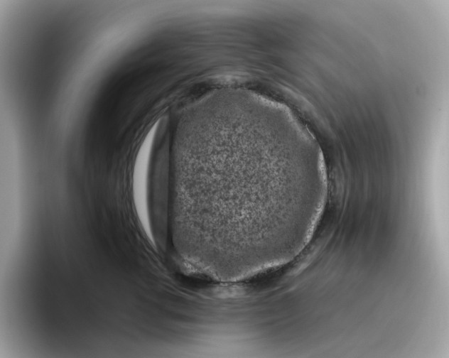 X0000095950762200801251130