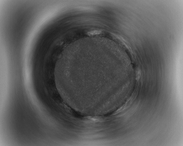 X0000095950763200801251130