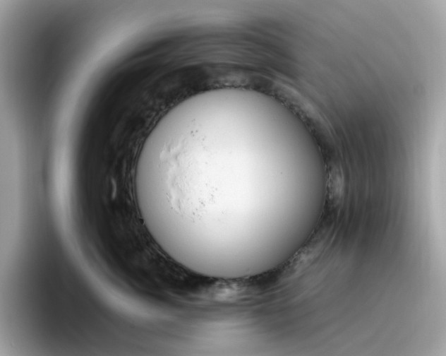 X0000095950764200801251130