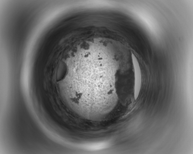 X0000095950765200801251130