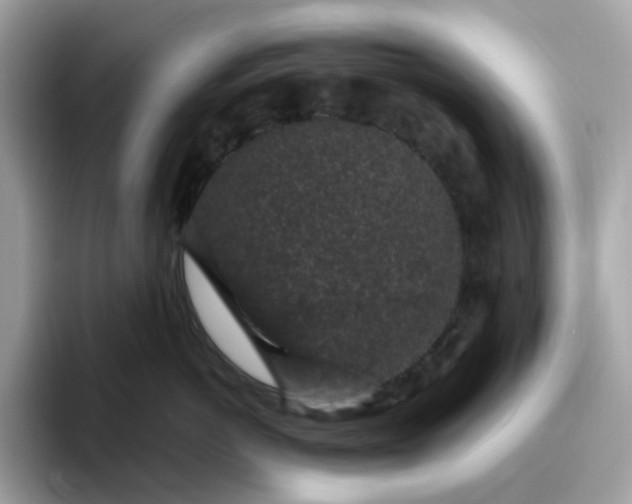 X0000095950766200801251130