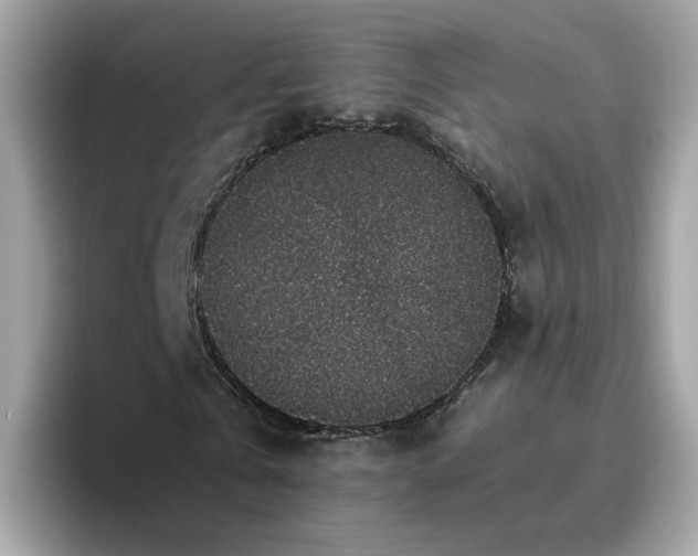 X0000095950769200801251129