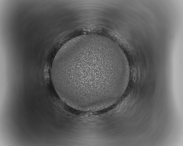 X0000095950770200801251129