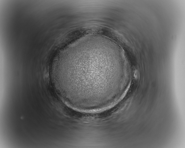 X0000095950771200801251129