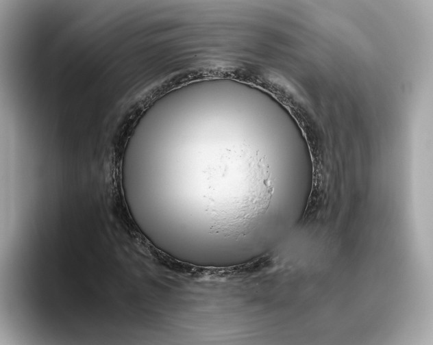 X0000095950773200801251129