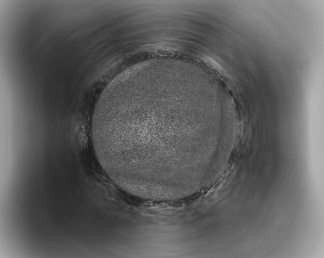 X0000095950774200801251129