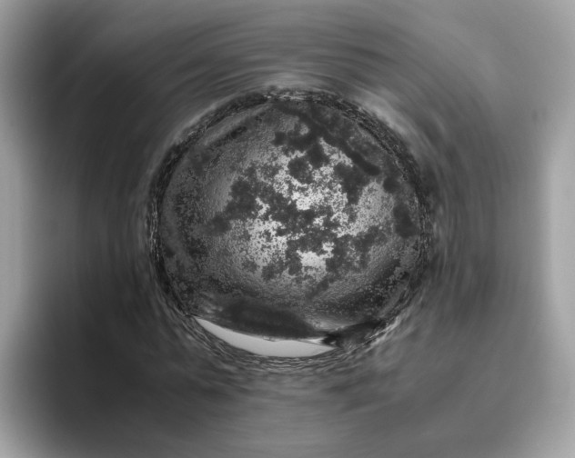 X0000095950775200801251129