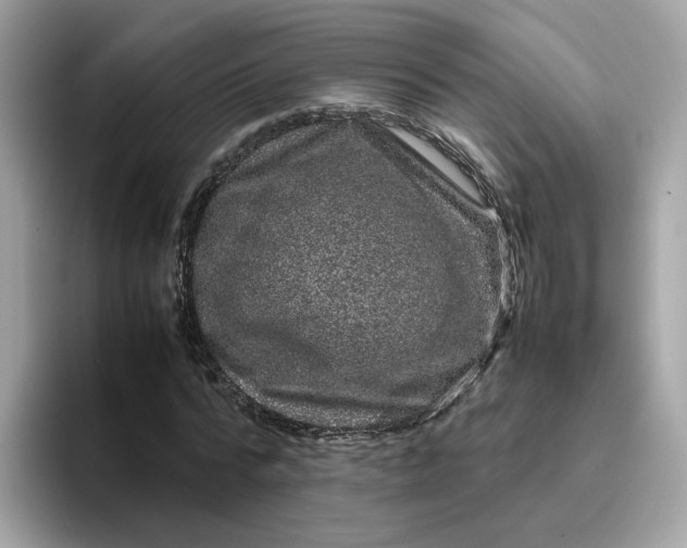 X0000095950776200801251129