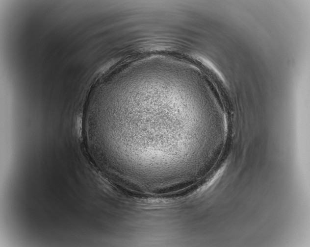 X0000095950777200801251129