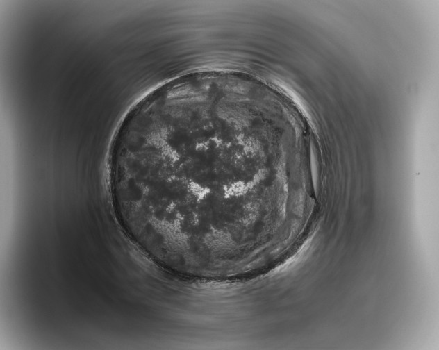 X0000095950779200801251129