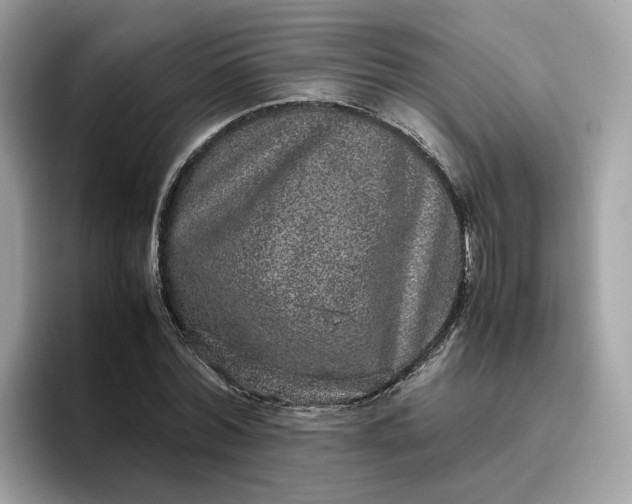 X0000095950780200801251129