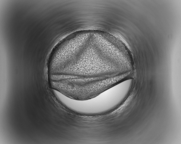 X0000095950781200801251129