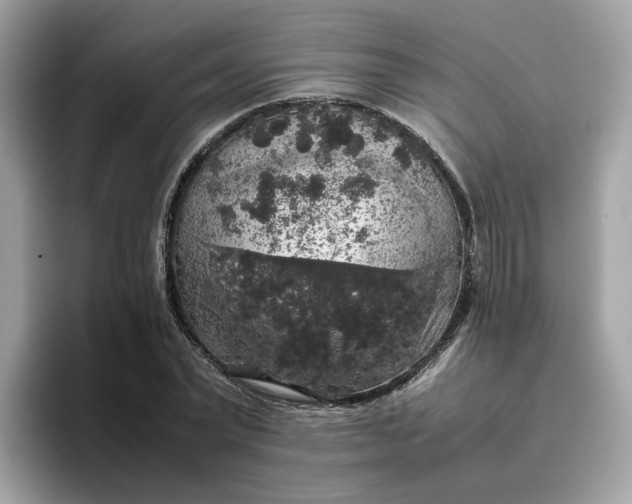 X0000095950783200801251129